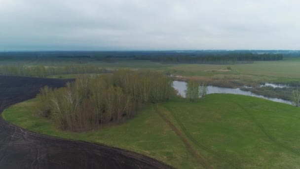 Vue aérienne du paysage du champ printanier 