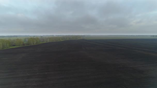 Luchtfoto Van Voorjaar Veld Landschap — Stockvideo