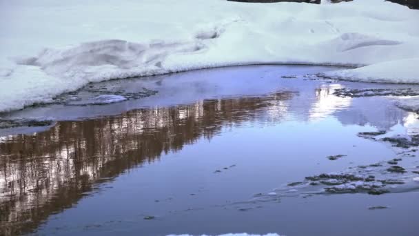 Stones Frozen Clear Ice Mountain River — Stock Video