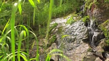 ergaki ridge, Batılı sayan, Rusya Federasyonu 