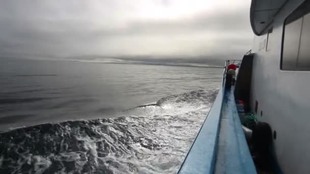 Beau paysage avec bord de mer rocheux — Video