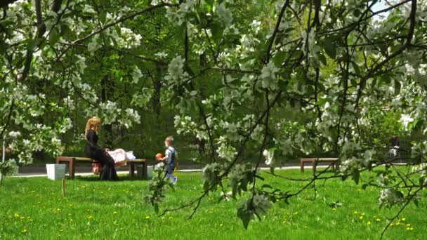 Γυναίκα Που Κάθεται Στον Πάγκο Στο Πάρκο Ενώ Αγόρι Περπατά — Αρχείο Βίντεο
