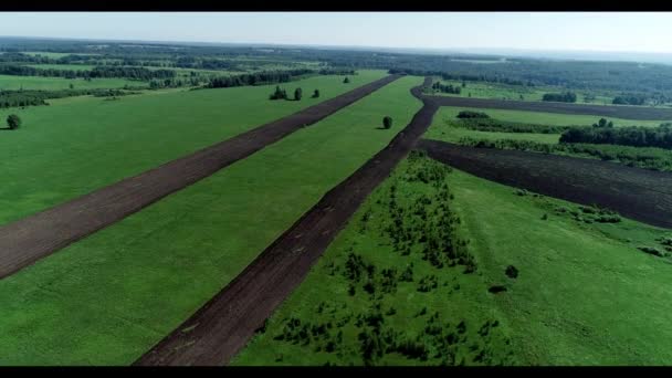 Luchtfoto Van Landbouwgebied Van Zomer — Stockvideo