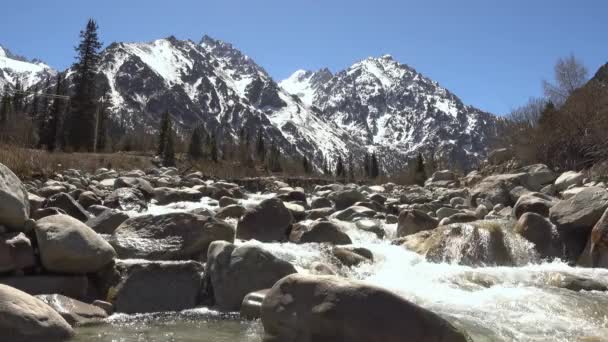 Wilder Fluss Vor Dem Hintergrund Hoher Schneebedeckter Berge — Stockvideo