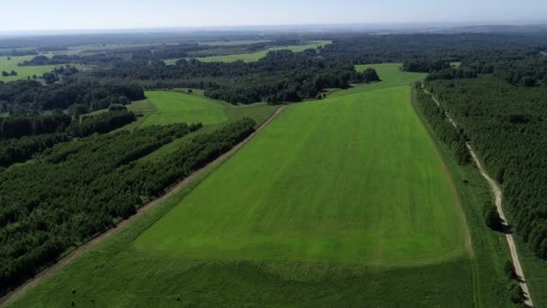 夏の農業分野の空中ショット — ストック動画