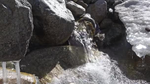 Arroyo Congelado Con Hielo Río Primavera Nieve Agua Fría Fluye — Vídeos de Stock