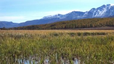 nehir ve bulutlu gökyüzü ile yaz manzara görüntüleri