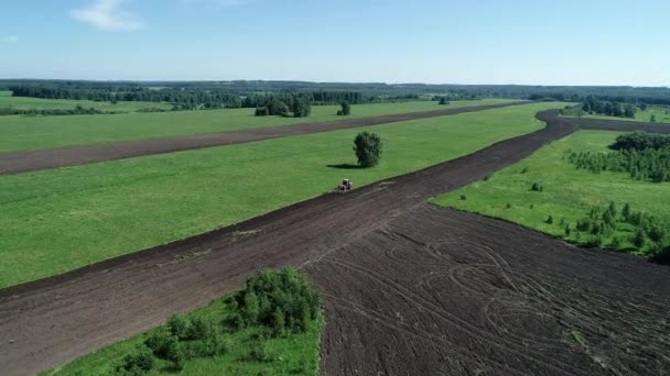 Luftaufnahmen Vom Landwirtschaftlichen Sommerfeld — Stockvideo