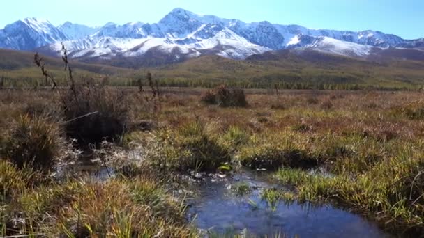 Riprese Del Paesaggio Estivo Con Fiume Cielo Nuvoloso — Video Stock