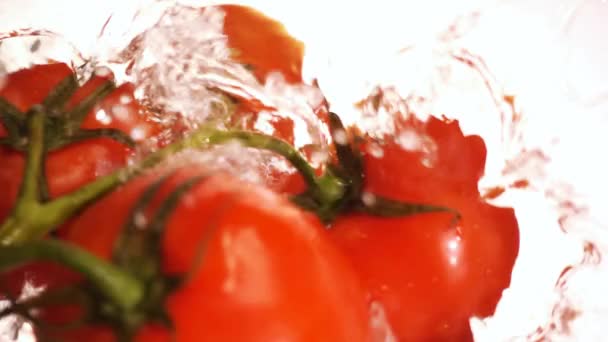 Tomate rojo — Vídeo de stock