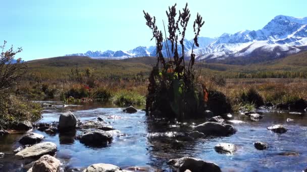 Imagens Paisagem Verão Com Rio Céu Nublado — Vídeo de Stock