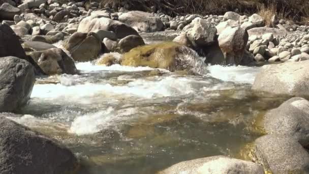 鹅卵石之间水流的特写镜头 — 图库视频影像