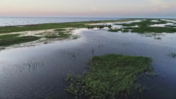 Yaz Akşamı Yeşil Deniz Kıyısı Havadan Görüntüleri — Stok video