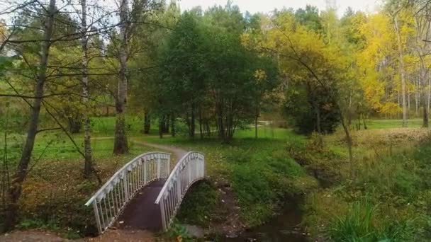 Εναέρια Πλάνα Από Άδειο Γέφυρα Στο Πάρκο Φθινόπωρο — Αρχείο Βίντεο