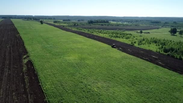 Luftaufnahmen Vom Landwirtschaftlichen Sommerfeld — Stockvideo