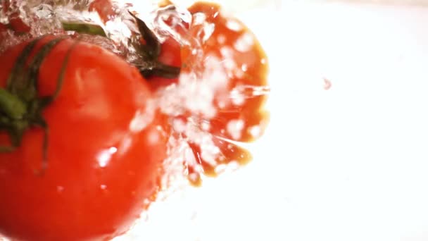 Κόκκινη ντομάτα — Αρχείο Βίντεο
