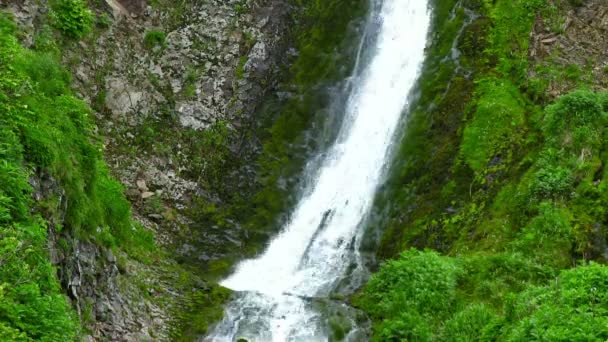 Filmato Del Torrente Montagna Sulle Isole Curili — Video Stock