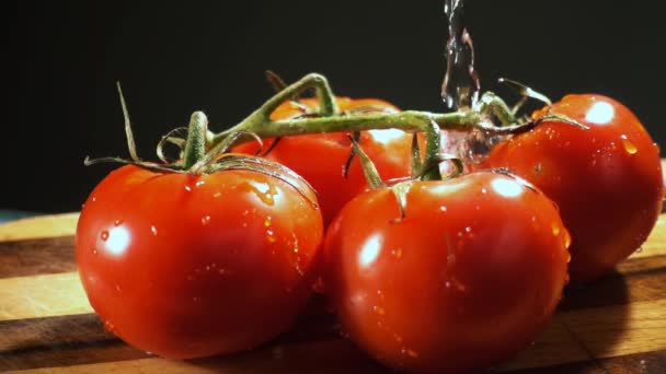 Röd tomat — Stockvideo