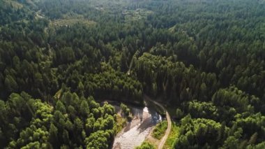 Orman gündüz sırasında havadan görünümü