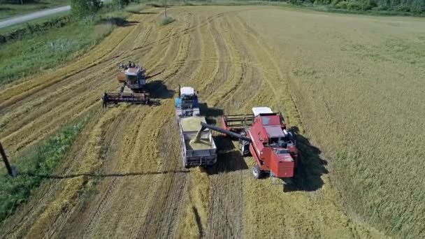 Traktory Hřišti Agro Během Dne — Stock video