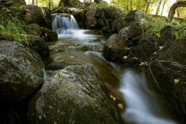 Nehir küçük şelaleler Altay Dağları, Rusya ile
