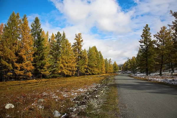 Vue Panoramique Mountain Road Dans Forêt Automne — Photo