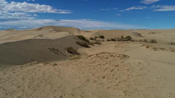 Aufnahmen Von Sanddünen Der Wüste Gobi Mongolei Asien — Stockvideo