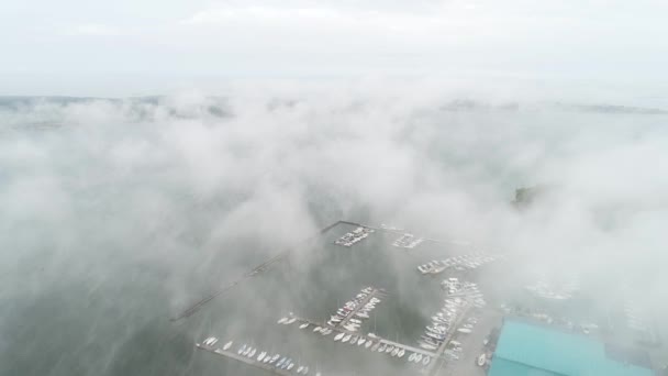 Aerial View Foggy Morning Mountain River — Stock Video