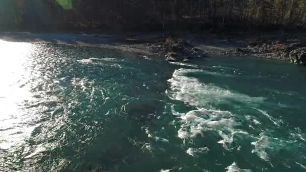ロシア アルタイ地域で山川の急速な流れの風光明媚なビュー — ストック動画