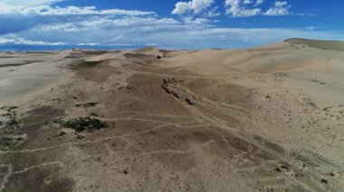 Çöl tarafından yürüyen atlar grubu, Moğolistan.