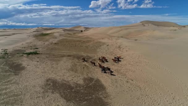 Groep Paarden Wandelen Door Woestijn Mongolië — Stockvideo