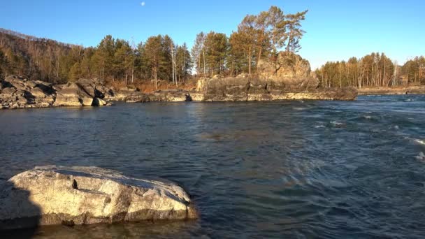 Paisagem Rio Montanhas Cobertas Árvores Altai Rússia — Vídeo de Stock