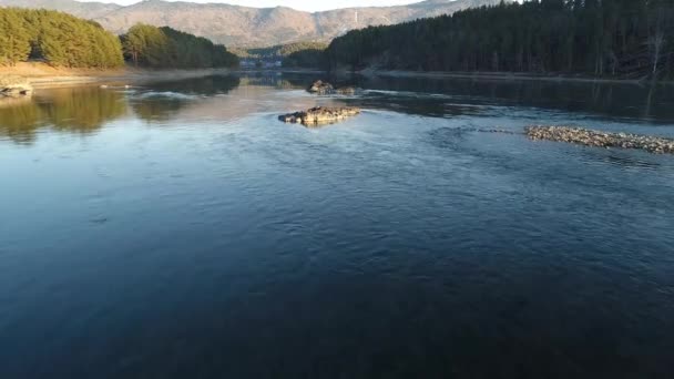 Τοπίο Του Ποταμού Βουνά Καλυμμένα Δέντρα Altai Ρωσία — Αρχείο Βίντεο