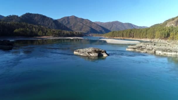 Landschap Van Rivier Bergen Bedekt Met Bomen Altai Rusland — Stockvideo