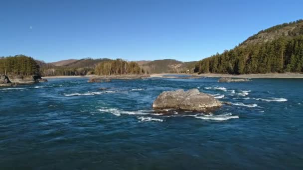 川の風景 木々で覆われた山 アルタイ ロシア — ストック動画