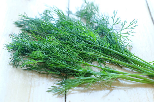 Fresh Dill 