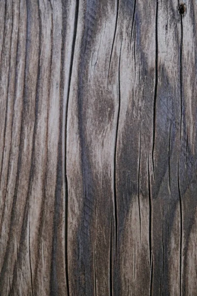 Textura de madeira Fotografia De Stock
