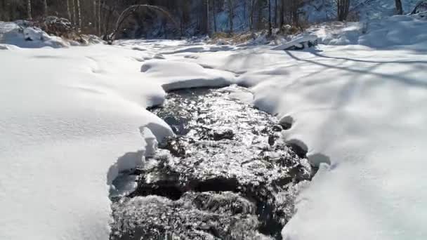 雪に覆われた牧草地で流れ出る川の映像 — ストック動画