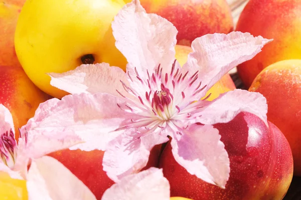 Close-up de nectarina em uma mesa de madeira — Fotografia de Stock