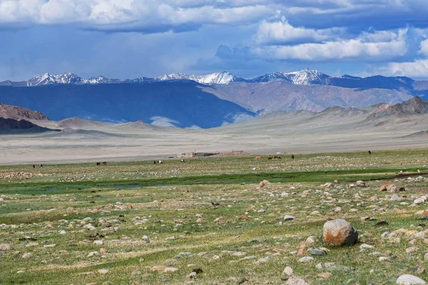 Paisaje Mongol Con Estepa Montaña Con Ger Manada Caballos Ovejas — Foto de Stock