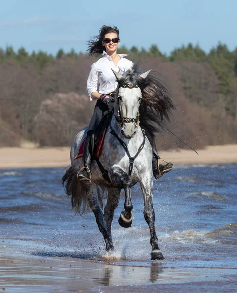 Mulher de cavalo e velocidade do cavalo espanhol correndo para o mar — Fotografia de Stock