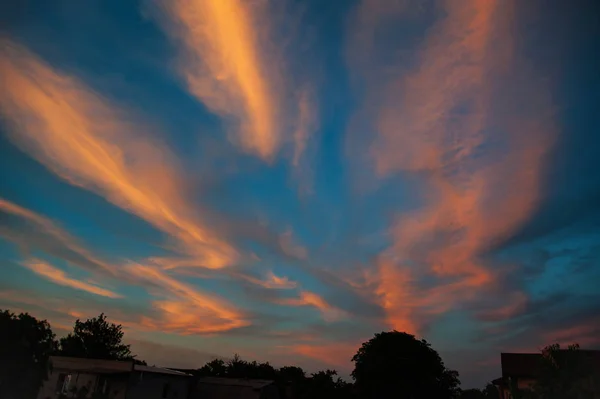 Cielo Atardecer Sobre Fondo Siluetas Árboles —  Fotos de Stock