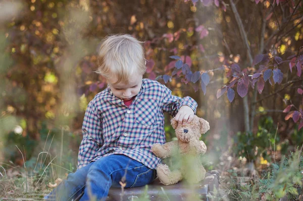 Chico Bosque Con Osito Peluche Favorito — Foto de Stock