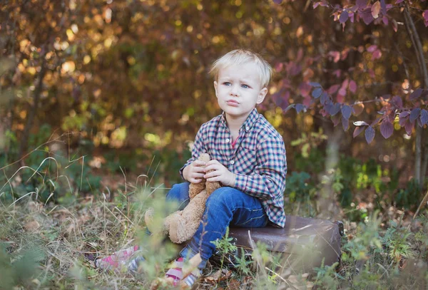 Ragazzo Nel Bosco Con Orsacchiotto Preferito — Foto Stock