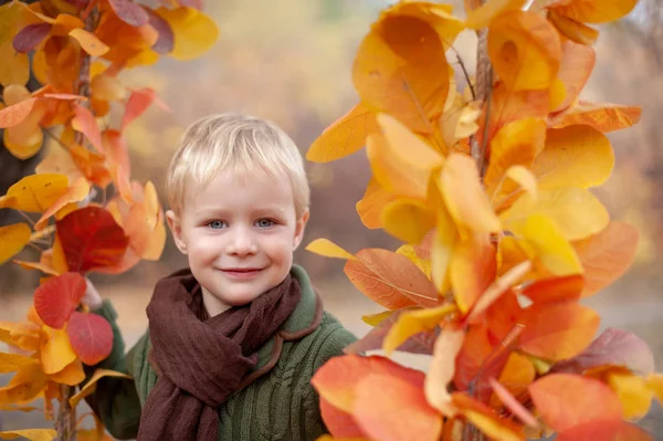 Handsome Boy Swing Autumn Leaves — Stock Photo, Image