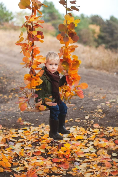 Handsome Boy Swing Autumn Leaves — Stock Photo, Image