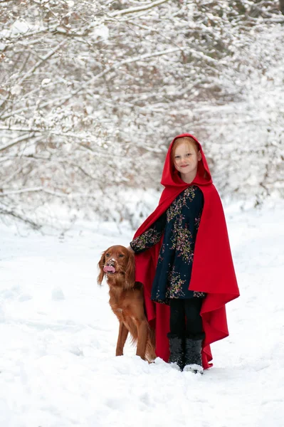 Bir Köpek Içinde Belgili Tanımlık Kar Ile Kırmızı Paltolu Kız — Stok fotoğraf