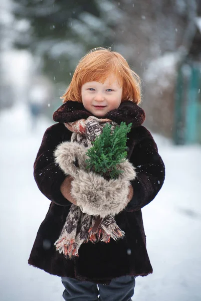 長い赤髪の少年は 雪の中で小さなクリスマス ツリーを保持しています ストックフォト