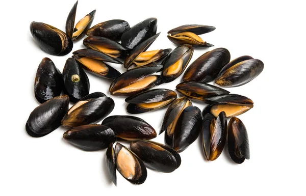 Moules Isolées Sur Fond Blanc — Photo