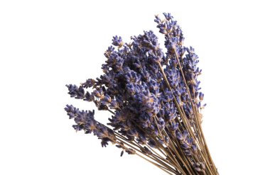 Beyaz arka plan üzerinde izole kuru lavanta